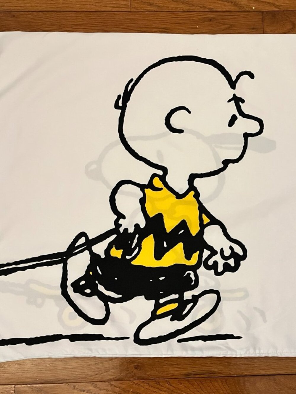 2 x Snoopy Pillow Cases Set Skateboarding Charlie Brown Peanuts Cartoon Bedding